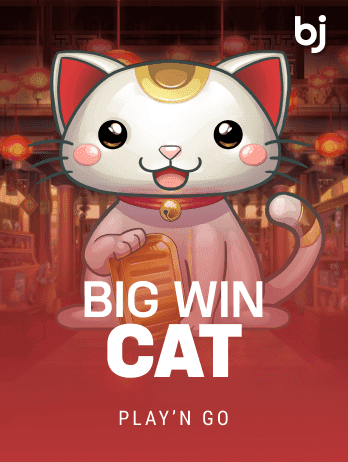 Big Win Cat